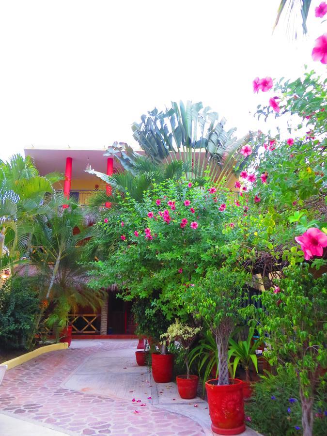 La Cruz Inn La Cruz de Huanacaxtle Kültér fotó